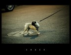 Chuck