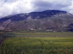 Monte Vettore!