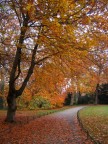 Berlino, Novembre 2005
