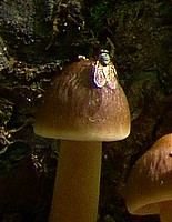 001.JPG