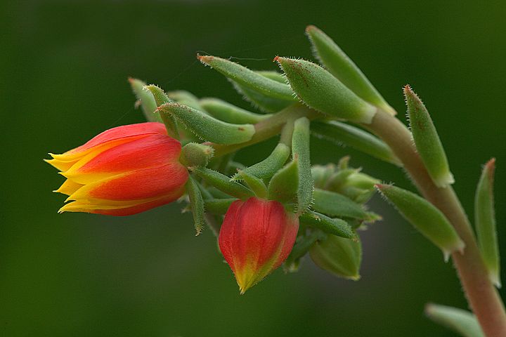 001.jpg