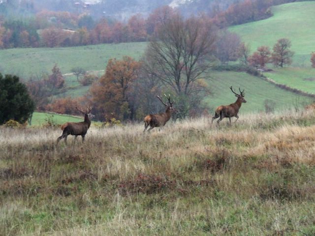 004 [640x480].JPG
