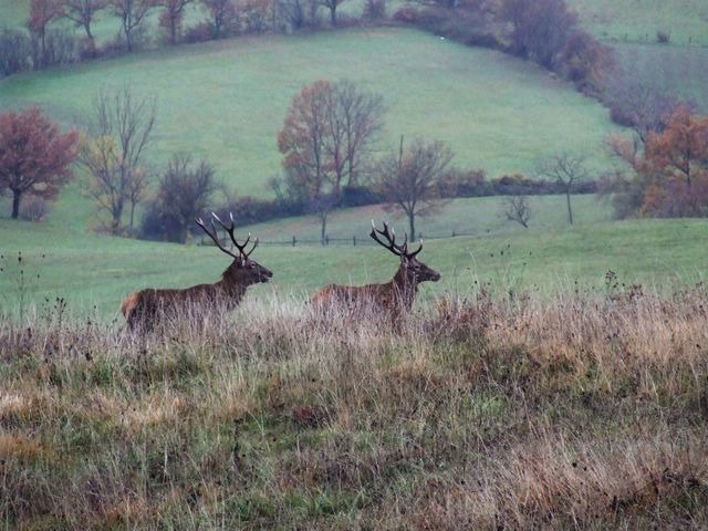 005 [640x480].JPG