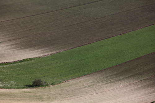 005Castelluccio 26maggio2011.JPG
