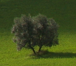 0064.jpg