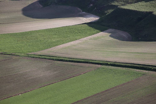 007Castelluccio 26maggio2011.JPG