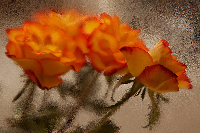 008.jpg