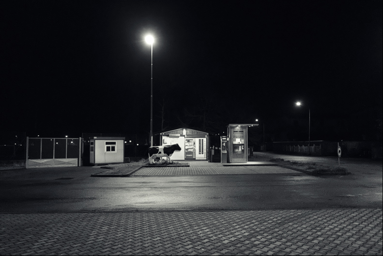 009.jpg