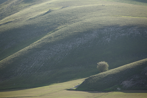 009Castelluccio 26maggio2011.JPG