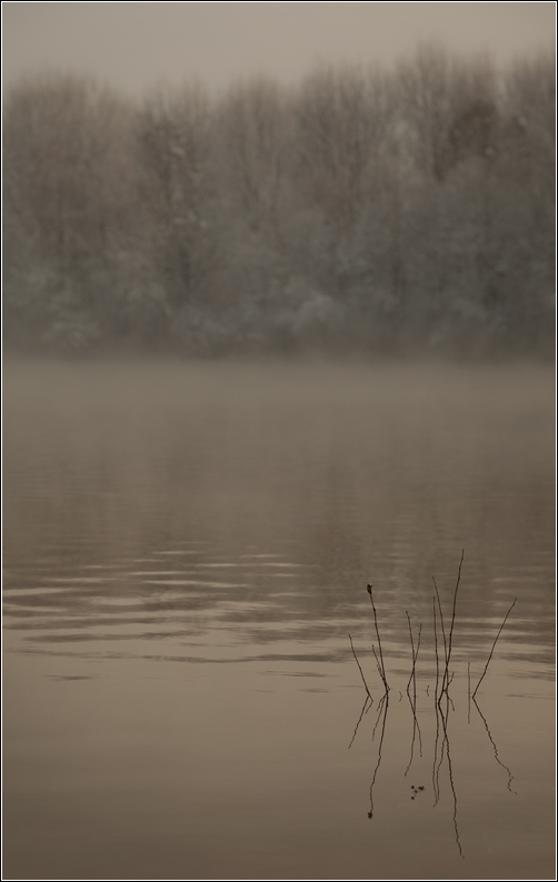 01-Canzone di notte n.4.jpg