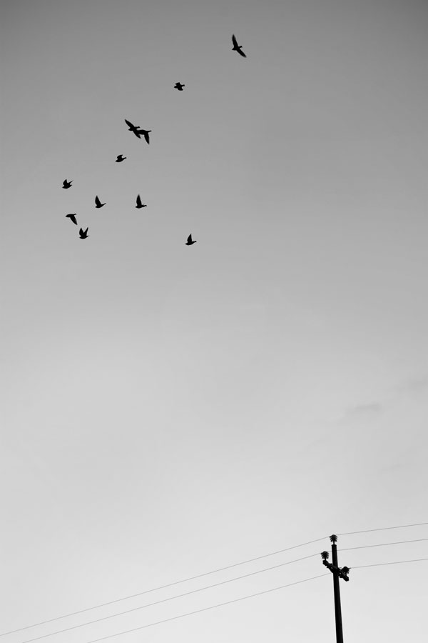 010.jpg
