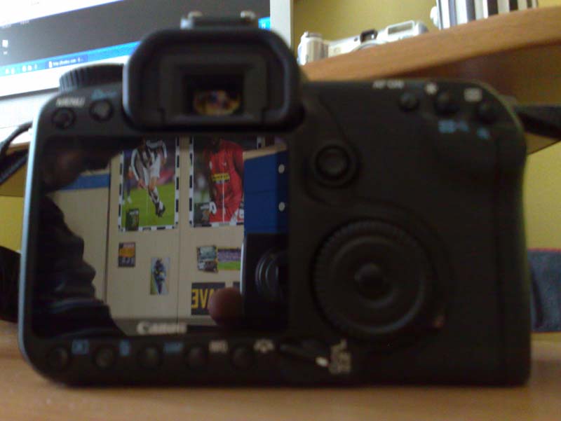 01102008168.jpg