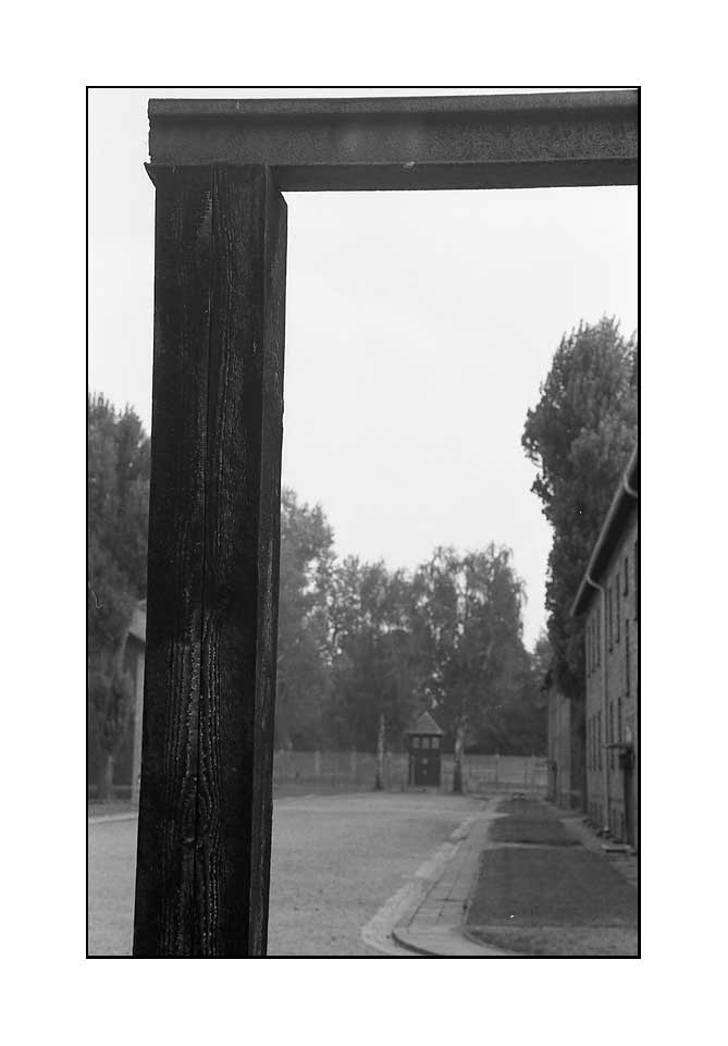 014.jpg