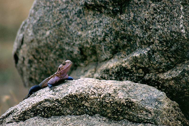 0184.jpg