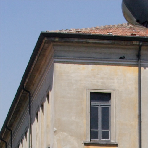 01.jpg