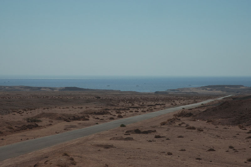 01.jpg