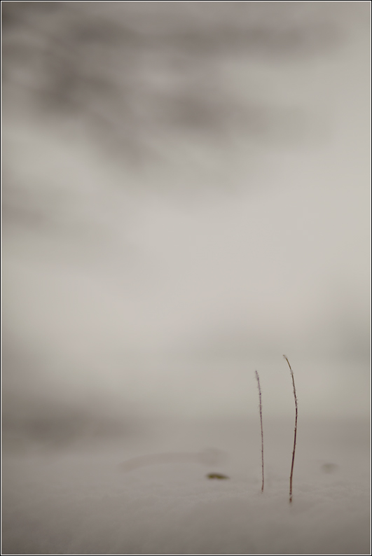 02-Su in collina.jpg