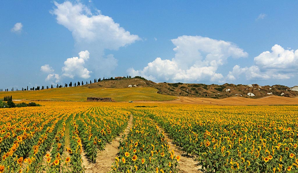 02.Toscana-011---AU0Z7247-copia---Copia.jpg