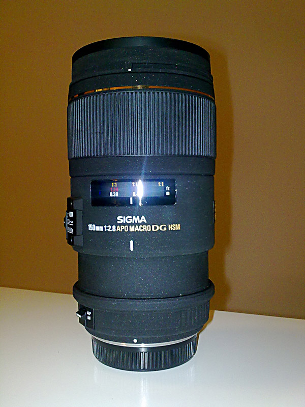 02042011499_D.jpg