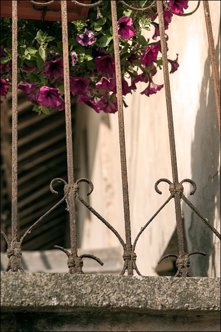 02062012-_DSC4008.jpg