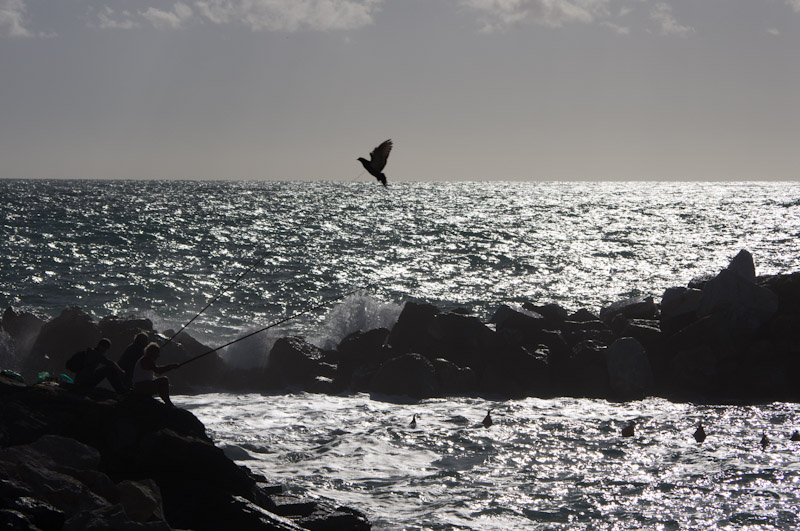 02112012-IMGP2241.jpg