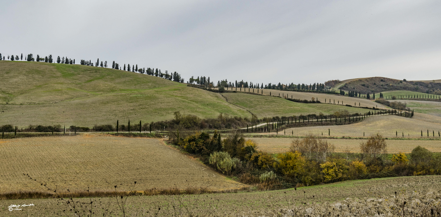 02122018-Colline-011bb.jpg