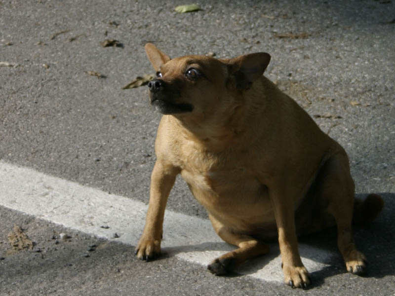 0217_RT8.jpg