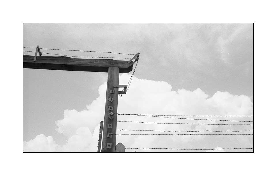 021.jpg