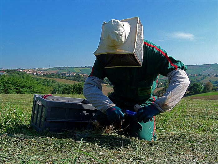 02 accensione cartone.jpg