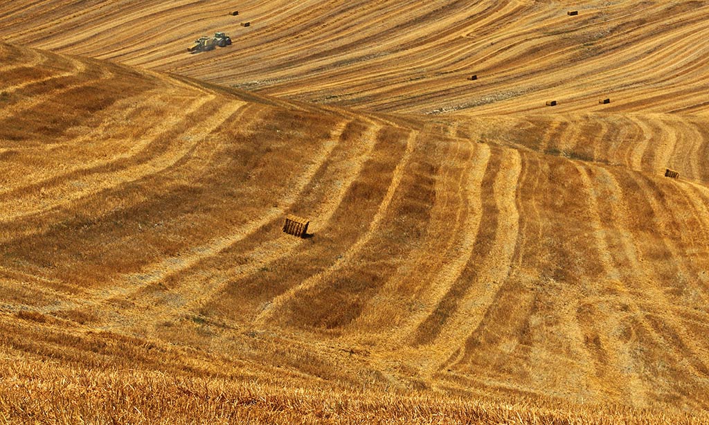 03.Toscana-018---AU0Z7272-copia---Copia.jpg