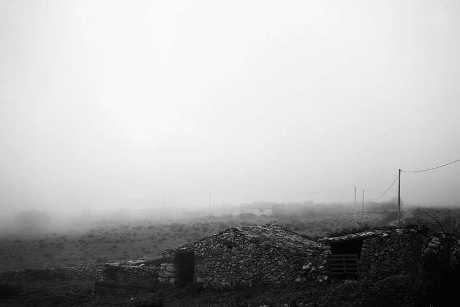 0350.jpg