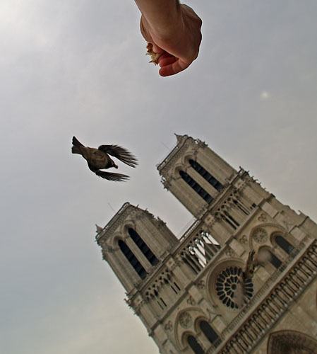 03.jpg