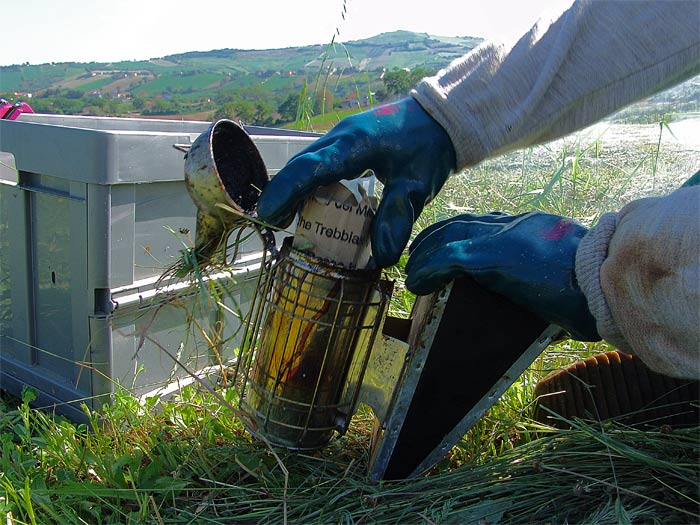 03 preparazione-affumicatore.jpg