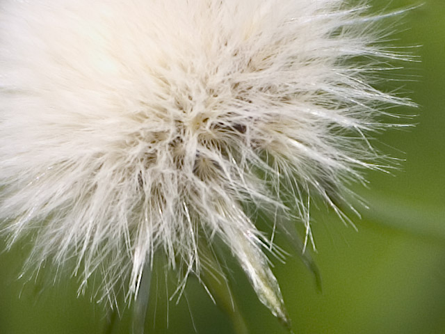 03crop.jpg