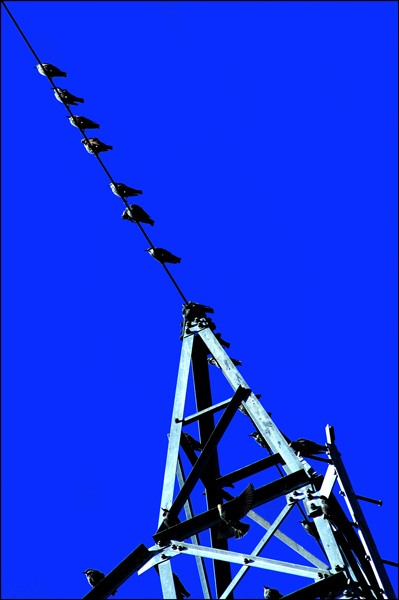 04.jpg