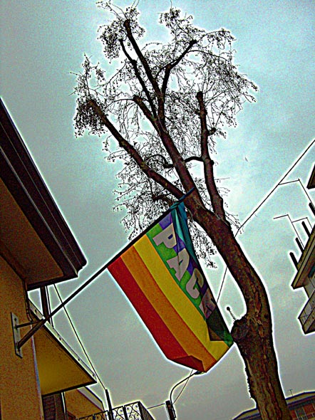 04DG-pacecampalto02.jpg