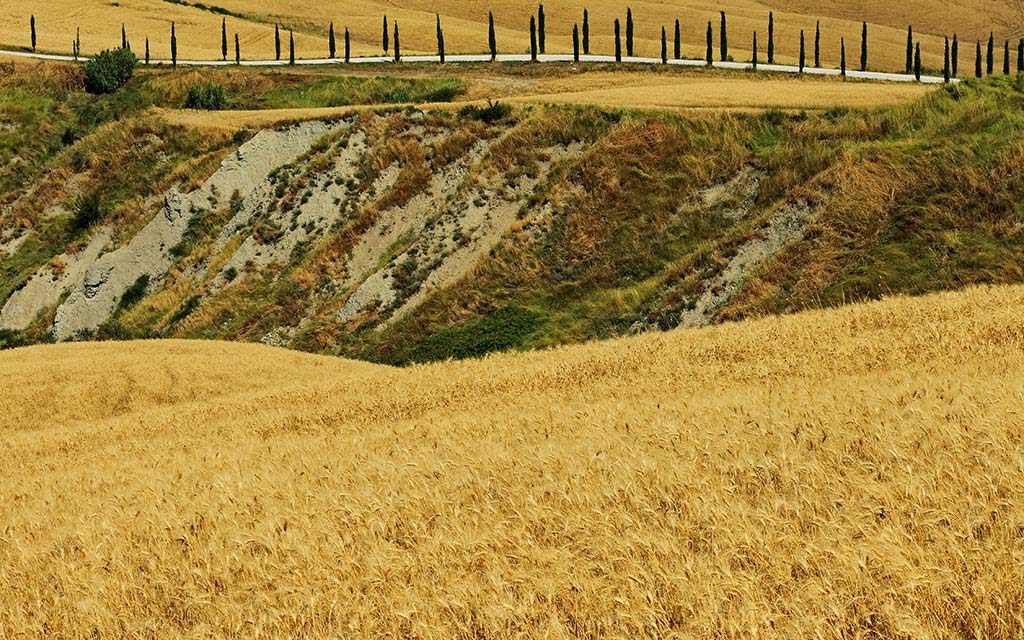 05.Toscana-043---AU0Z7389-copia---Copia.jpg