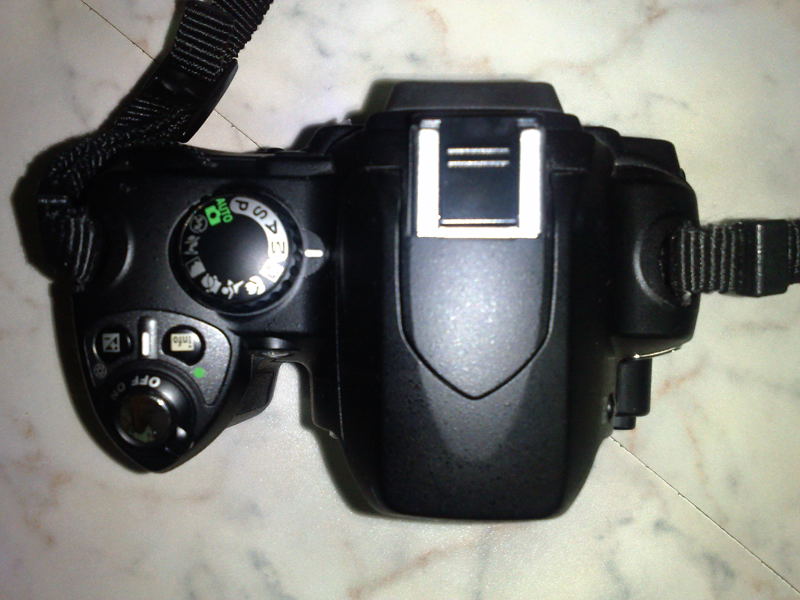 05052008221.jpg