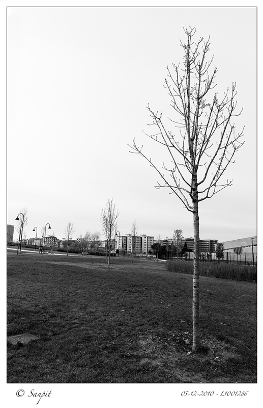 05122010-L1001286-BN-flikr.jpg