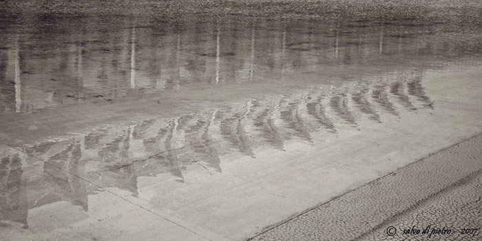 05.jpg