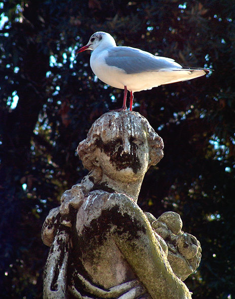 05DG-condizinsopport-80.jpg