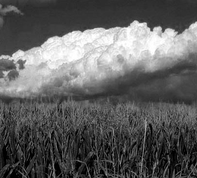 06-Incolla_UnisciLivelli.jpg