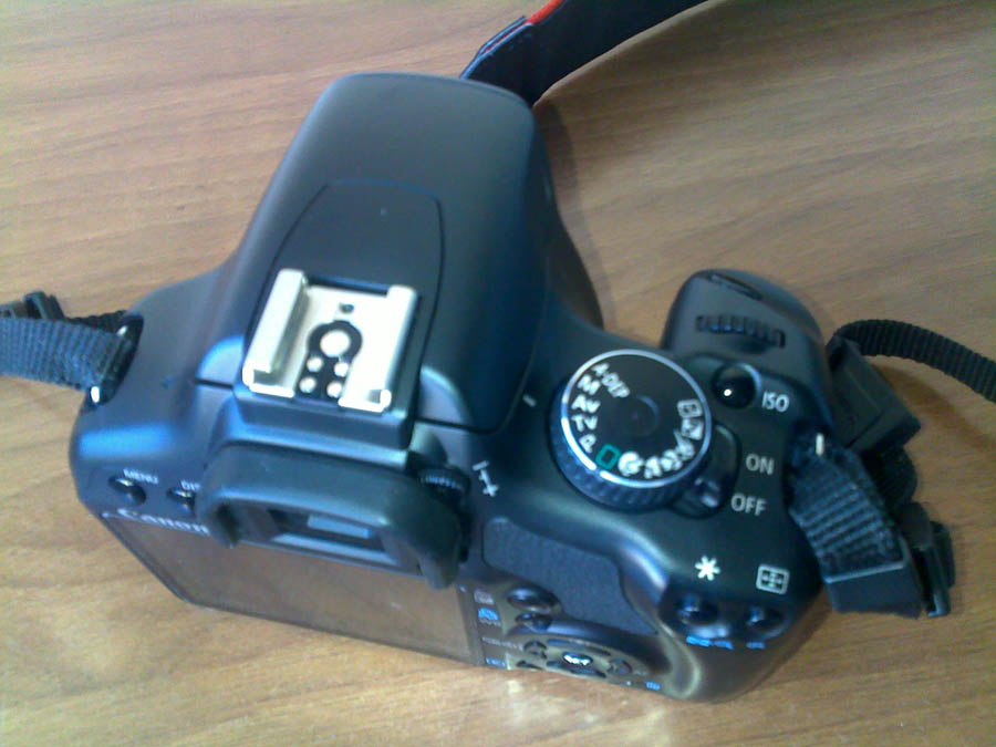 06042010025.jpg