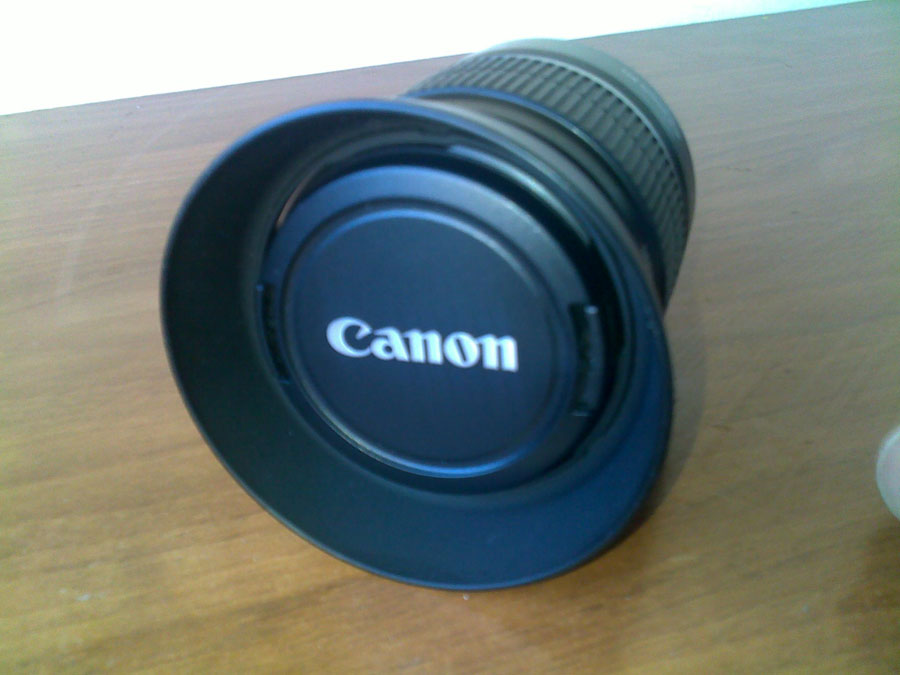 06042010027.jpg