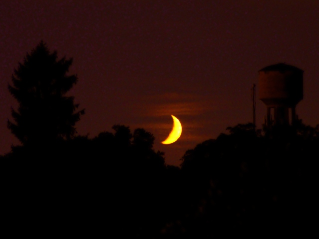 060730_Luna_0947_640.jpg