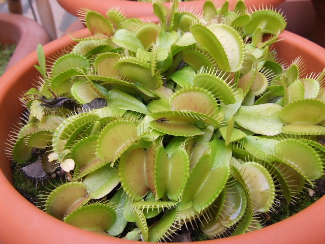 0608280002.JPG