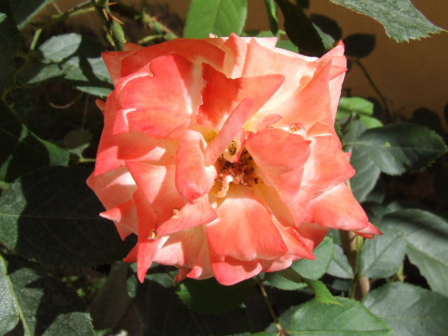 0608300015.JPG