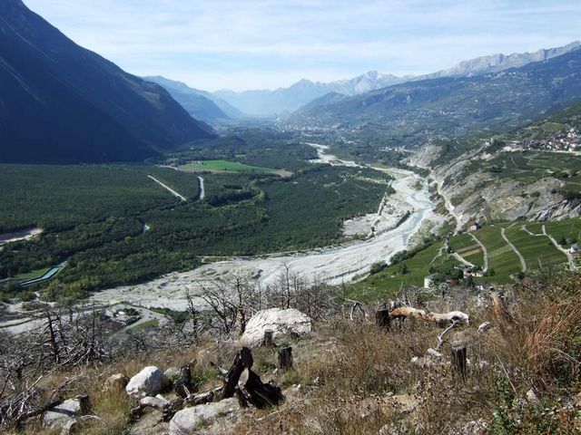0610080141.JPG