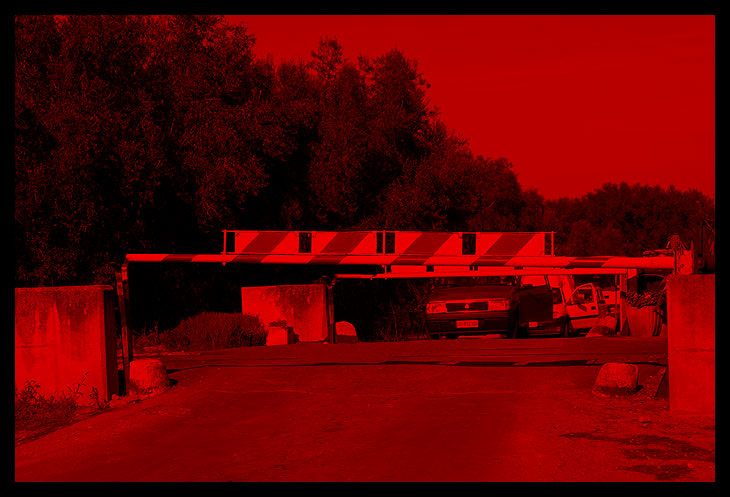 06.jpg