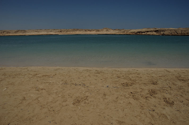 06.jpg